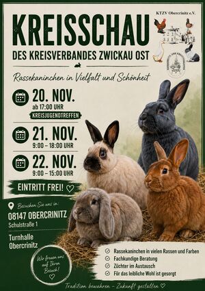 Kaninchen-Kreisschau KV Zwickau-Ost